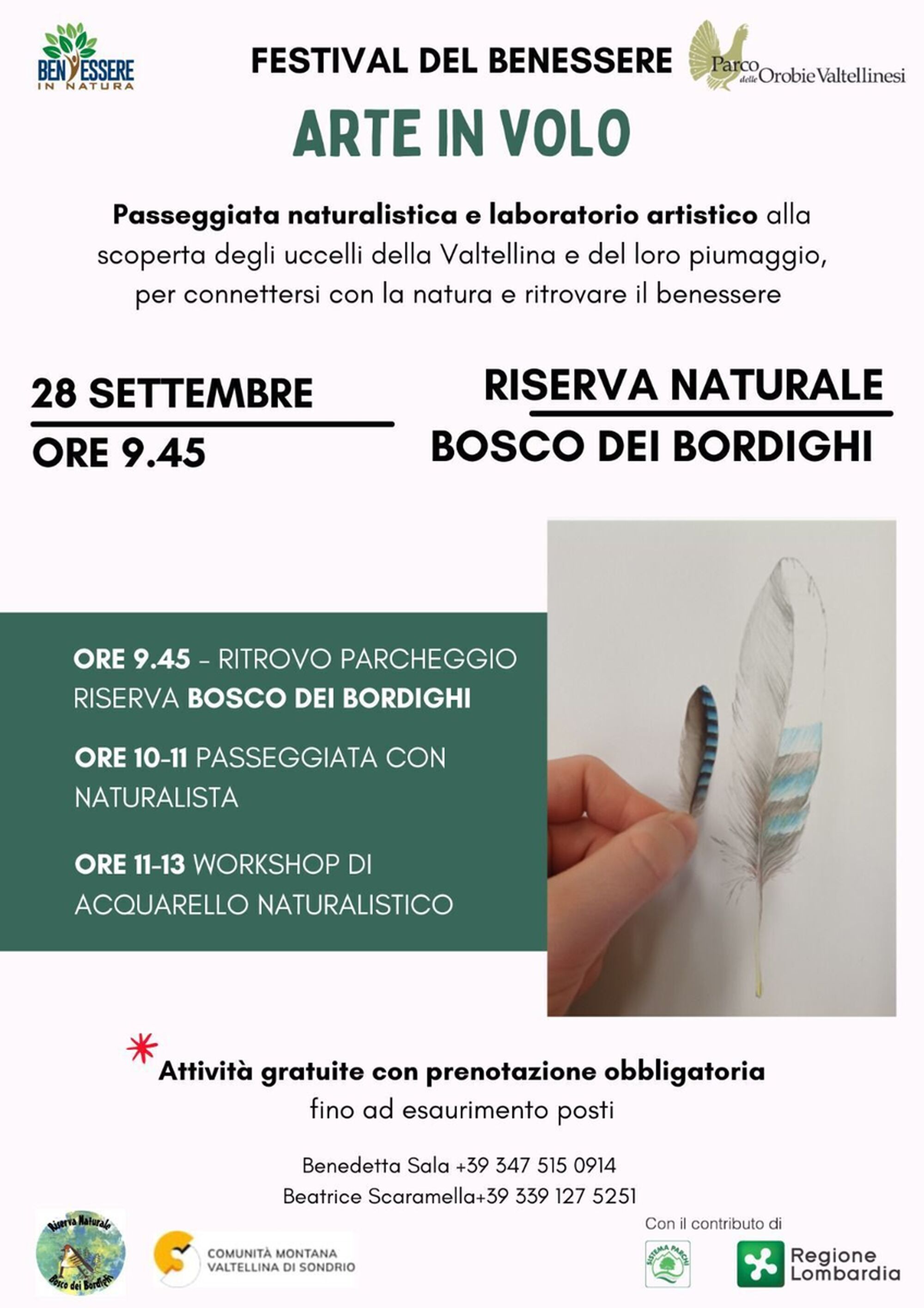 FESTIVAL DEL BENESSERE - Arte in volo