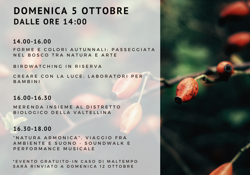 UN BOSCO DI CONTAMIN-AZIONI