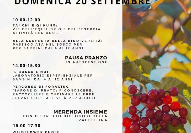 RITORNA "UN BOSCO DI CONTAMIN-AZIONI"