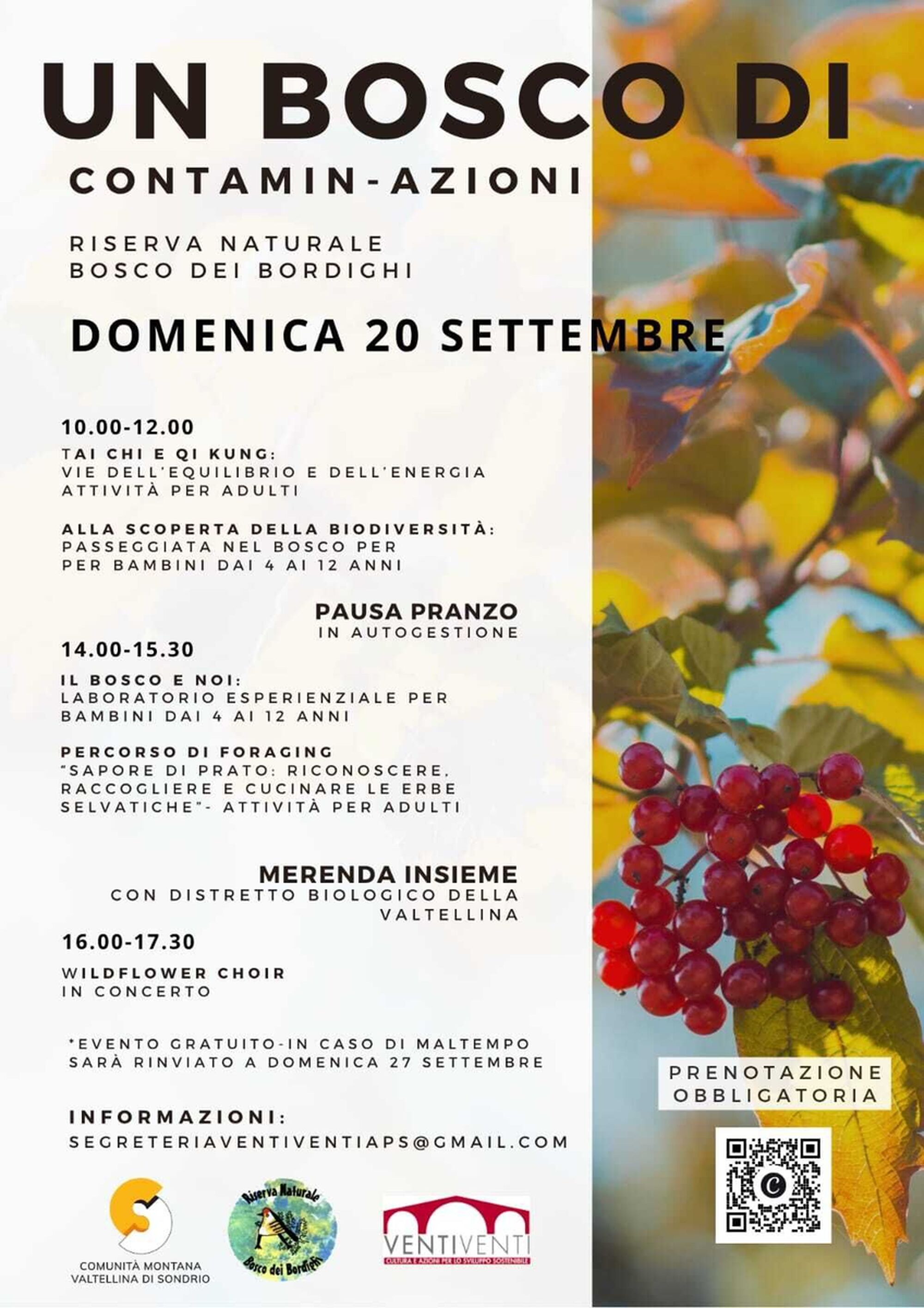 RITORNA "UN BOSCO DI CONTAMIN-AZIONI"