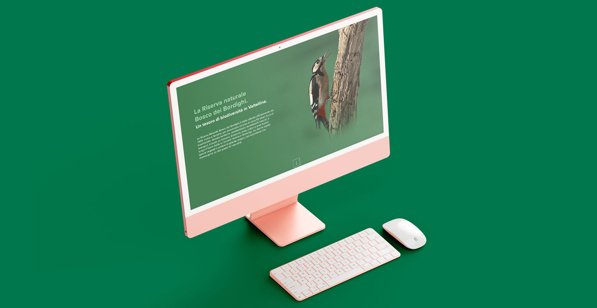 Online il nuovo sito web della Riserva dei Bordighi