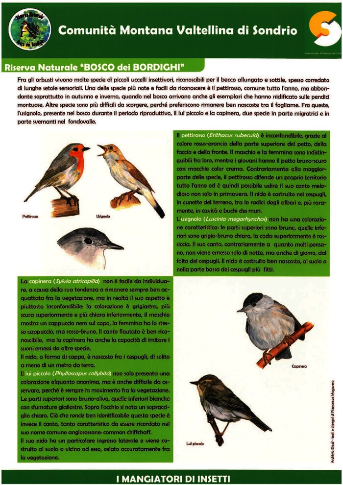 Schede avifauna