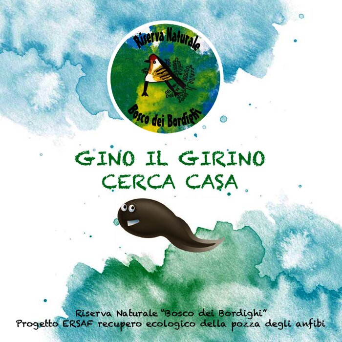 Gino il girino