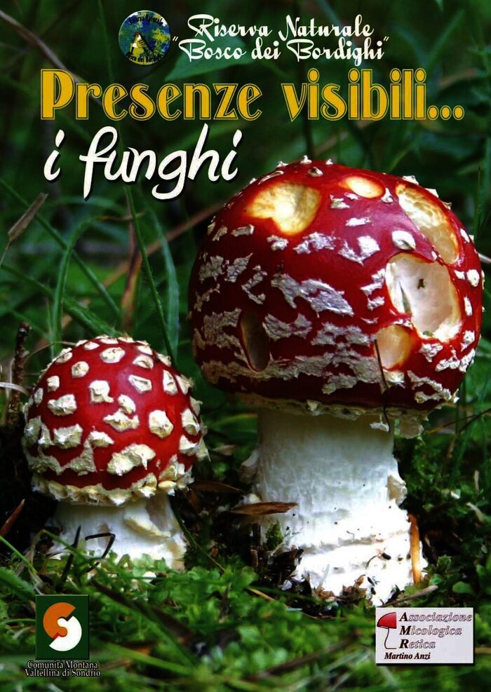 Presenze visibili - I Funghi