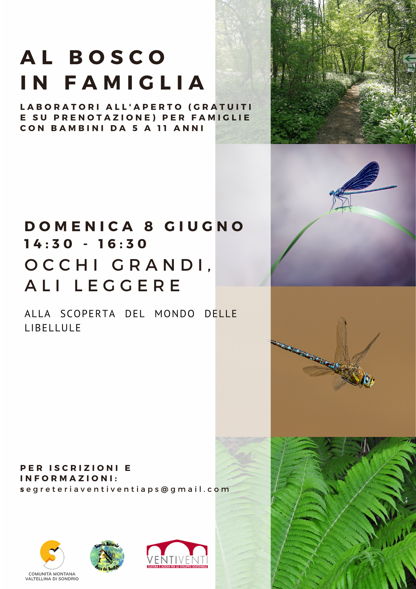 locandina 05 25